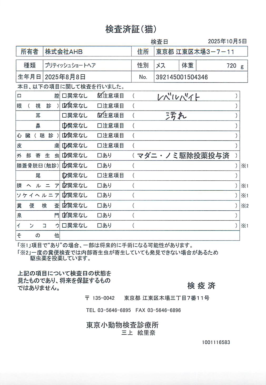ブリティッシュショートヘア