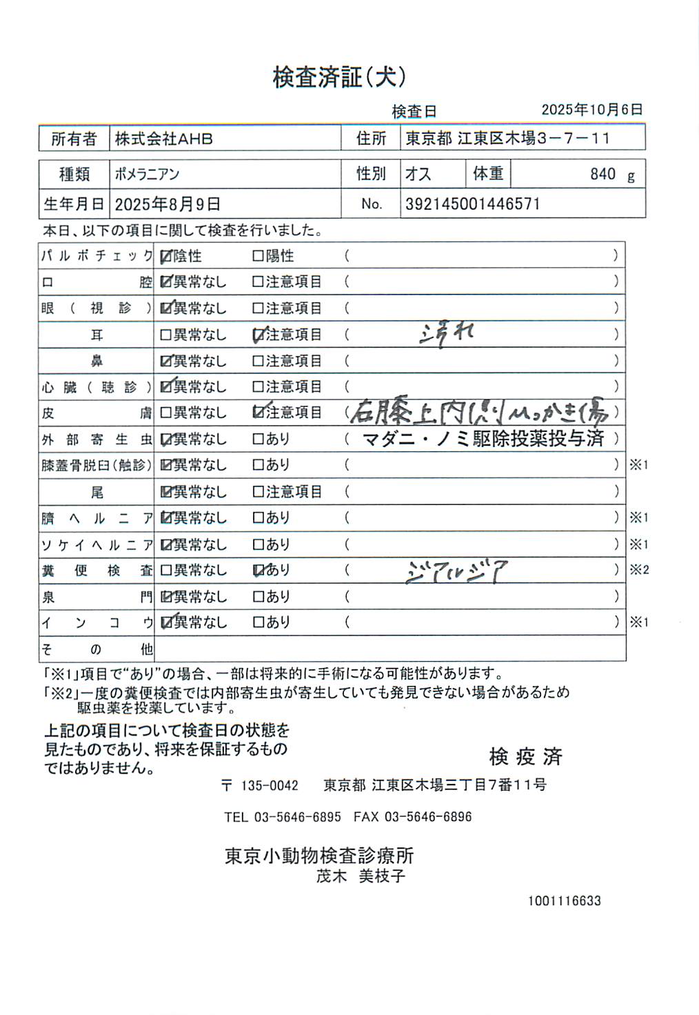 ポメラニアン