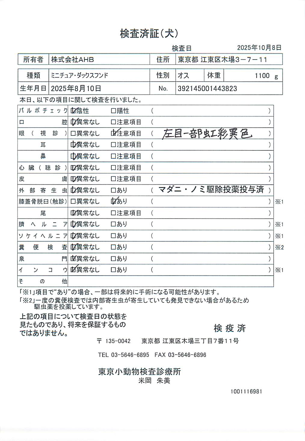 ミニチュア・ダックスフンド