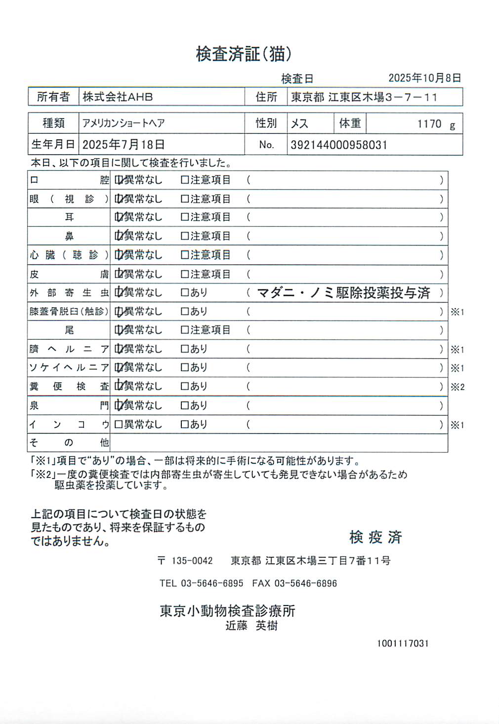 アメリカンショートヘア