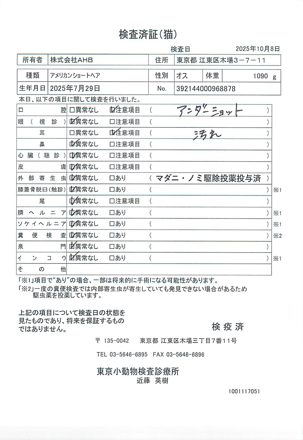 アメリカンショートヘア