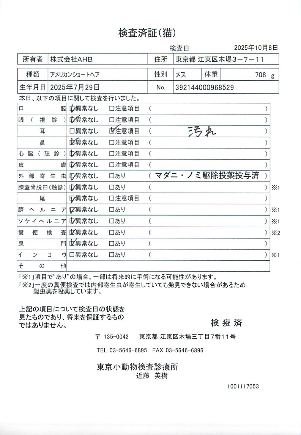 アメリカンショートヘア