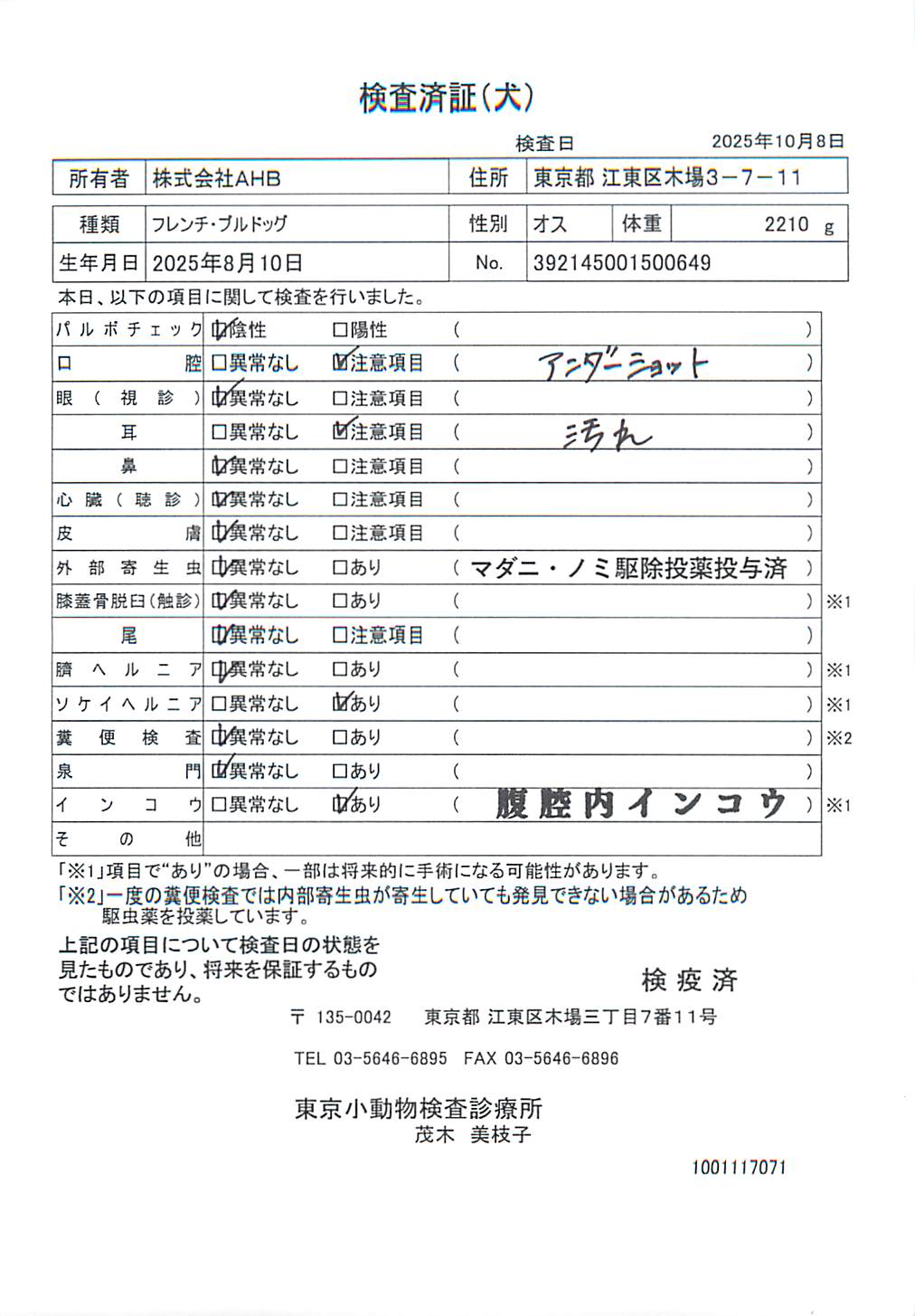 フレンチ・ブルドッグ