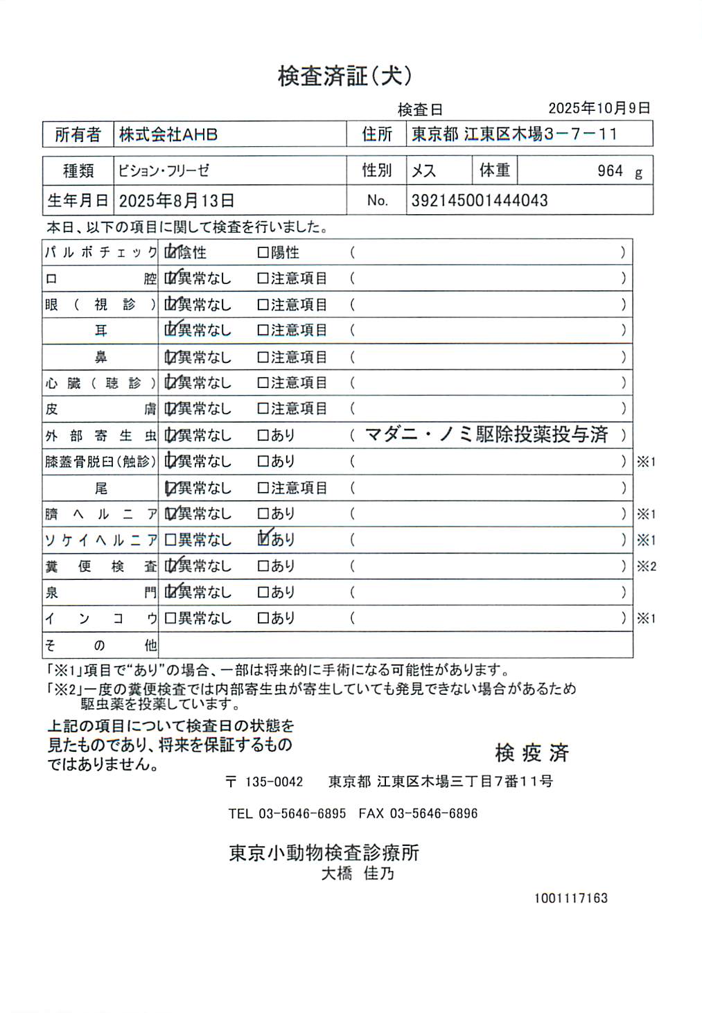 ビション・フリーゼ
