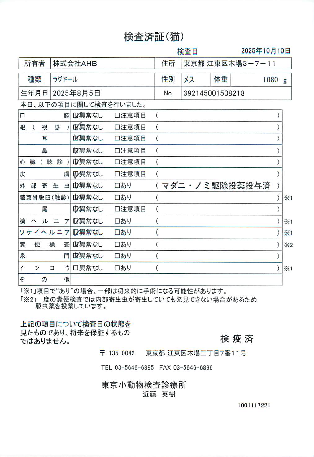 ラグドール