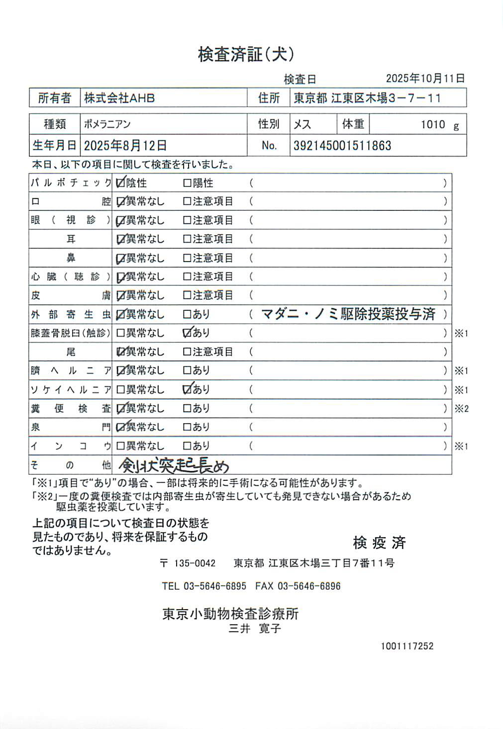 ポメラニアン