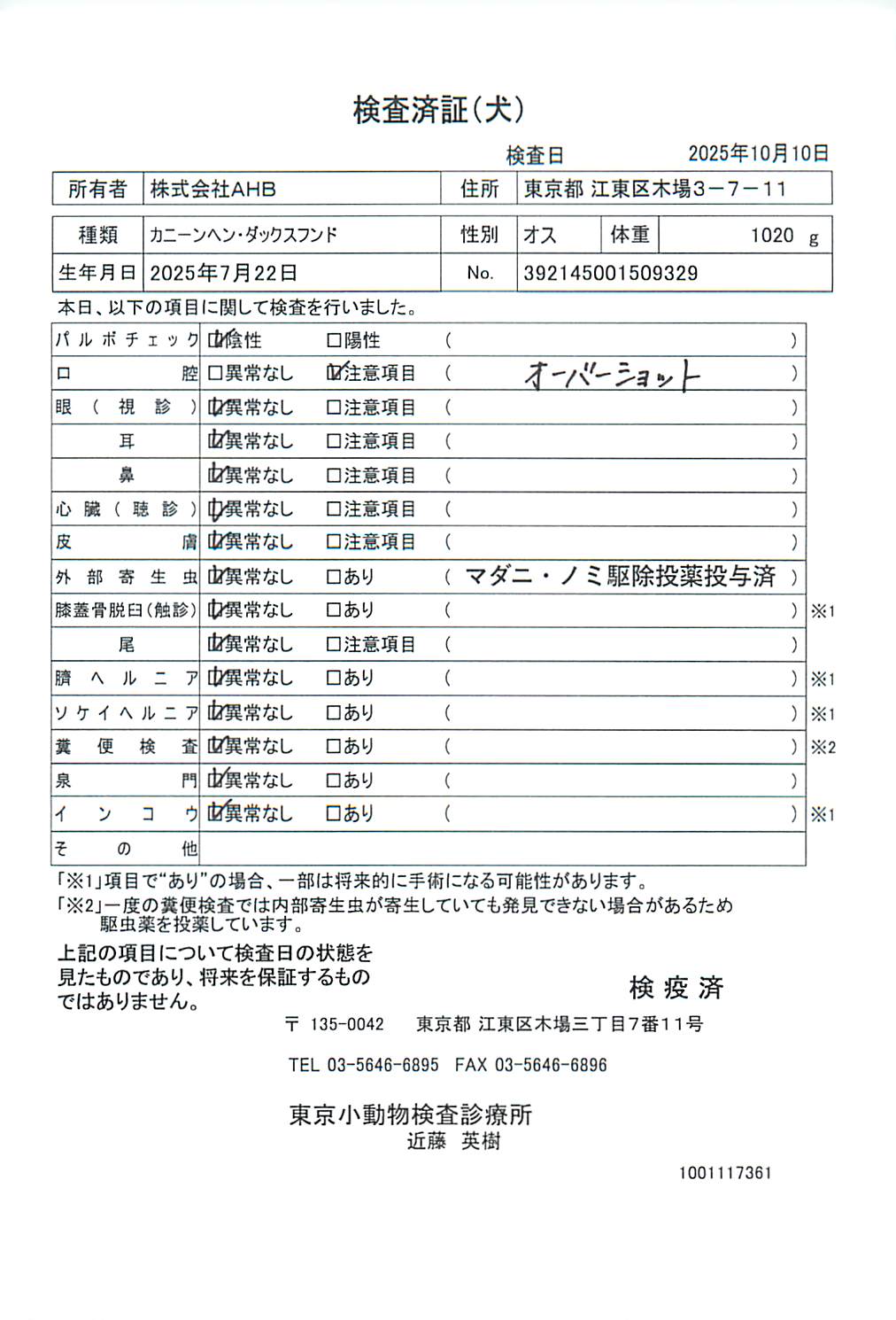カニーンヘン・ダックスフンド