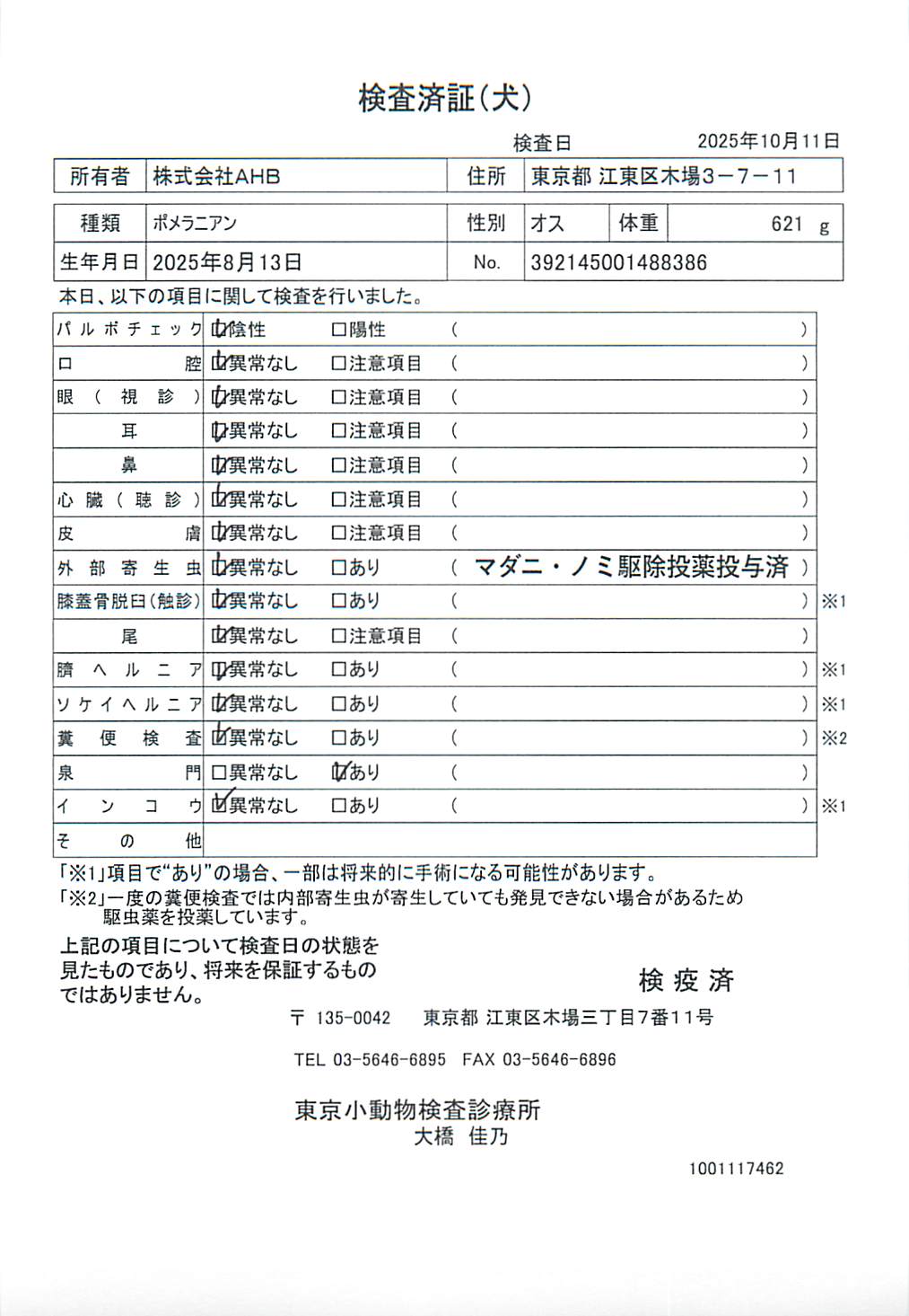 ポメラニアン