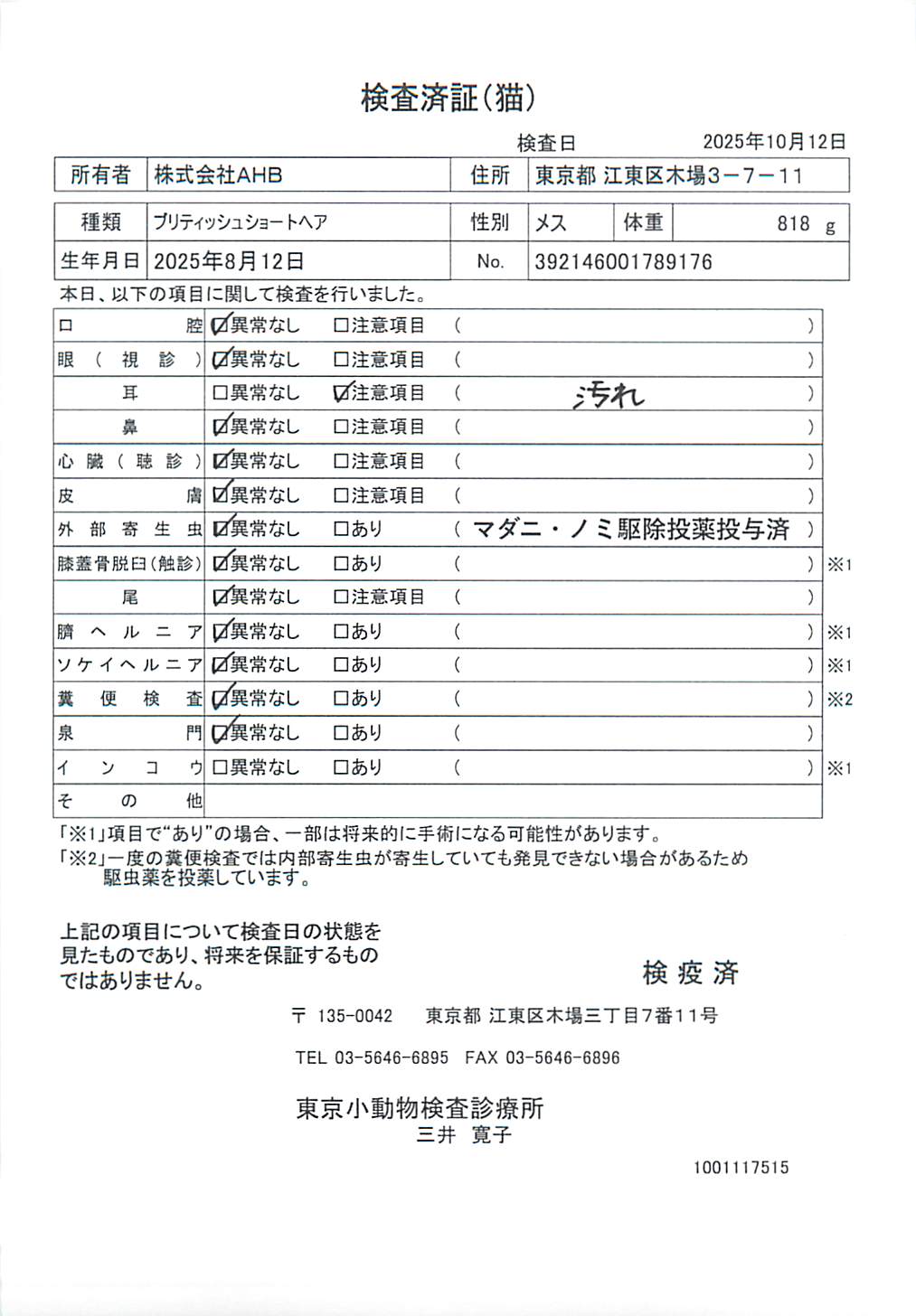 ブリティッシュショートヘア