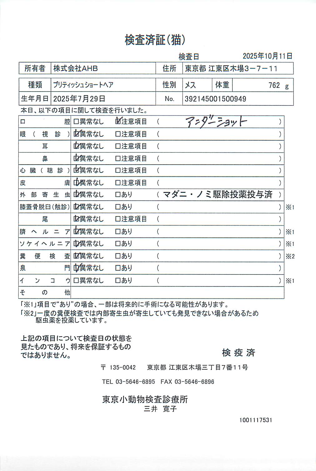 ブリティッシュショートヘア