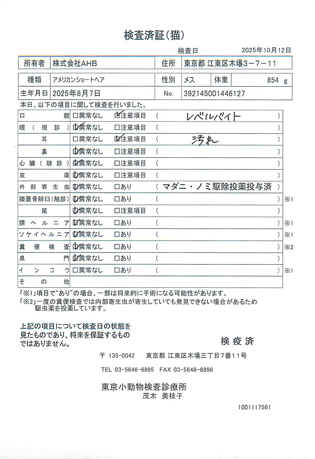 アメリカンショートヘア