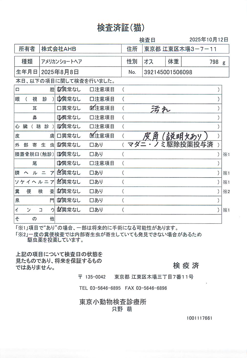 アメリカンショートヘア