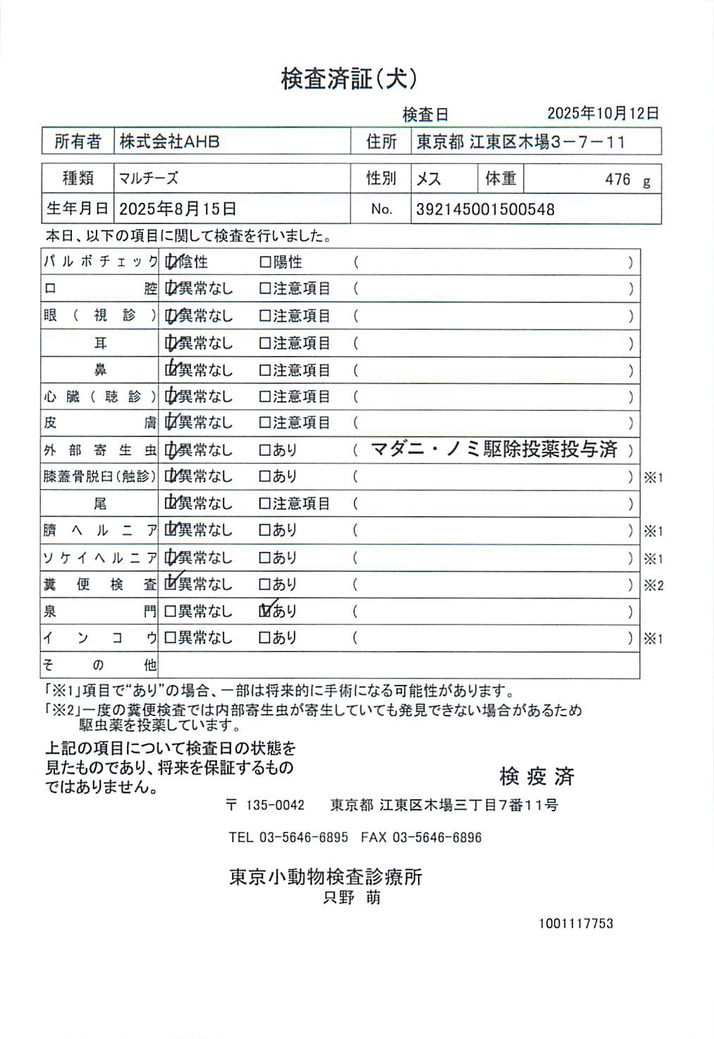 マルチーズ