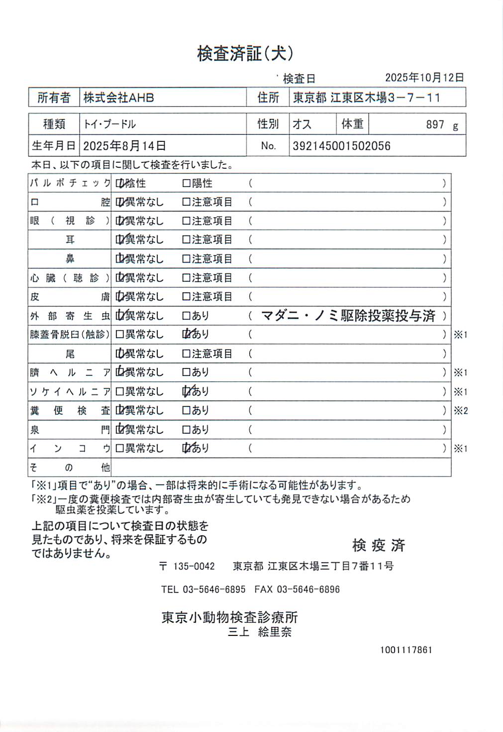 トイ・プードル
