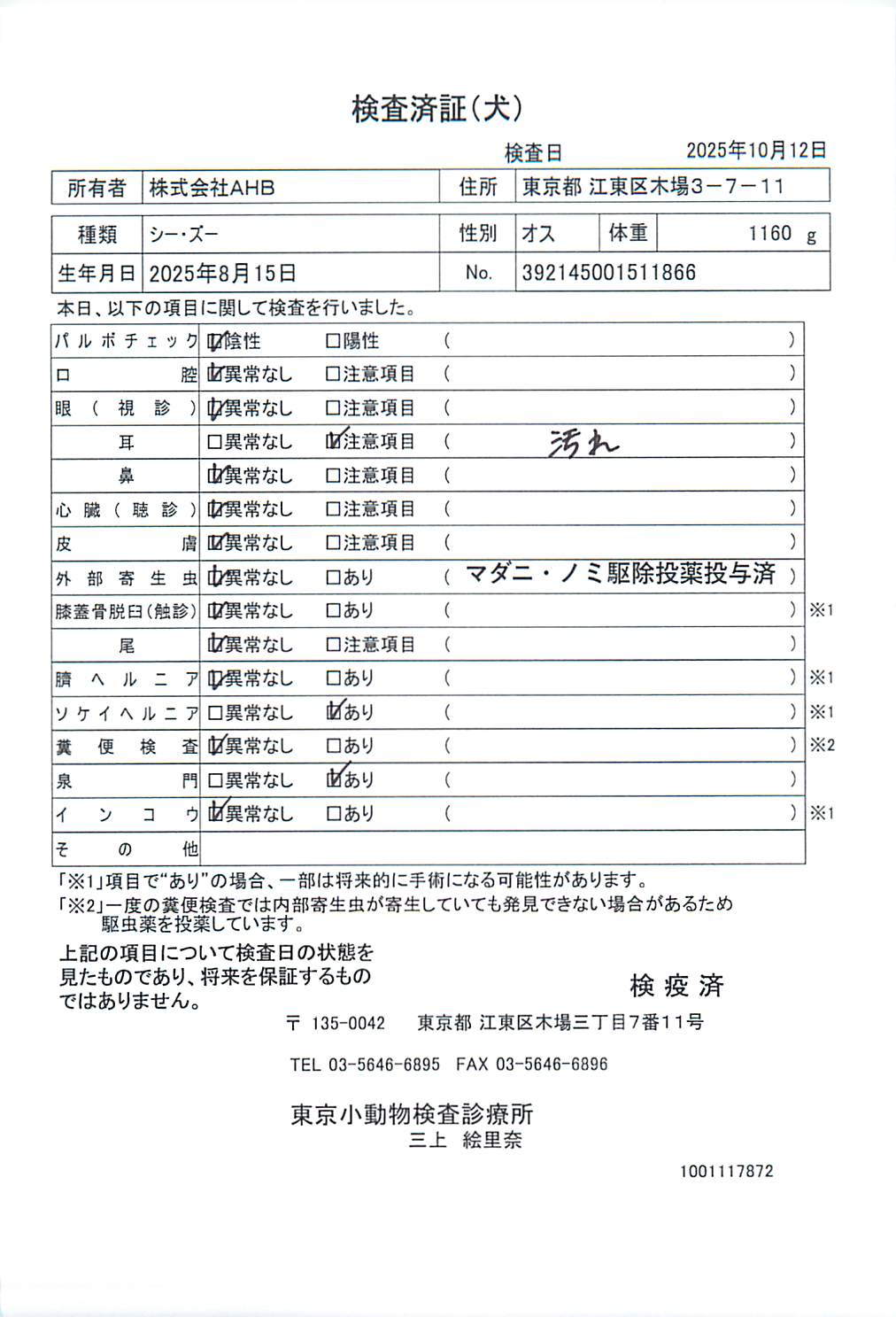 シー・ズー