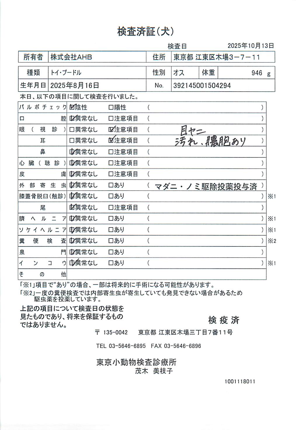 トイ・プードル