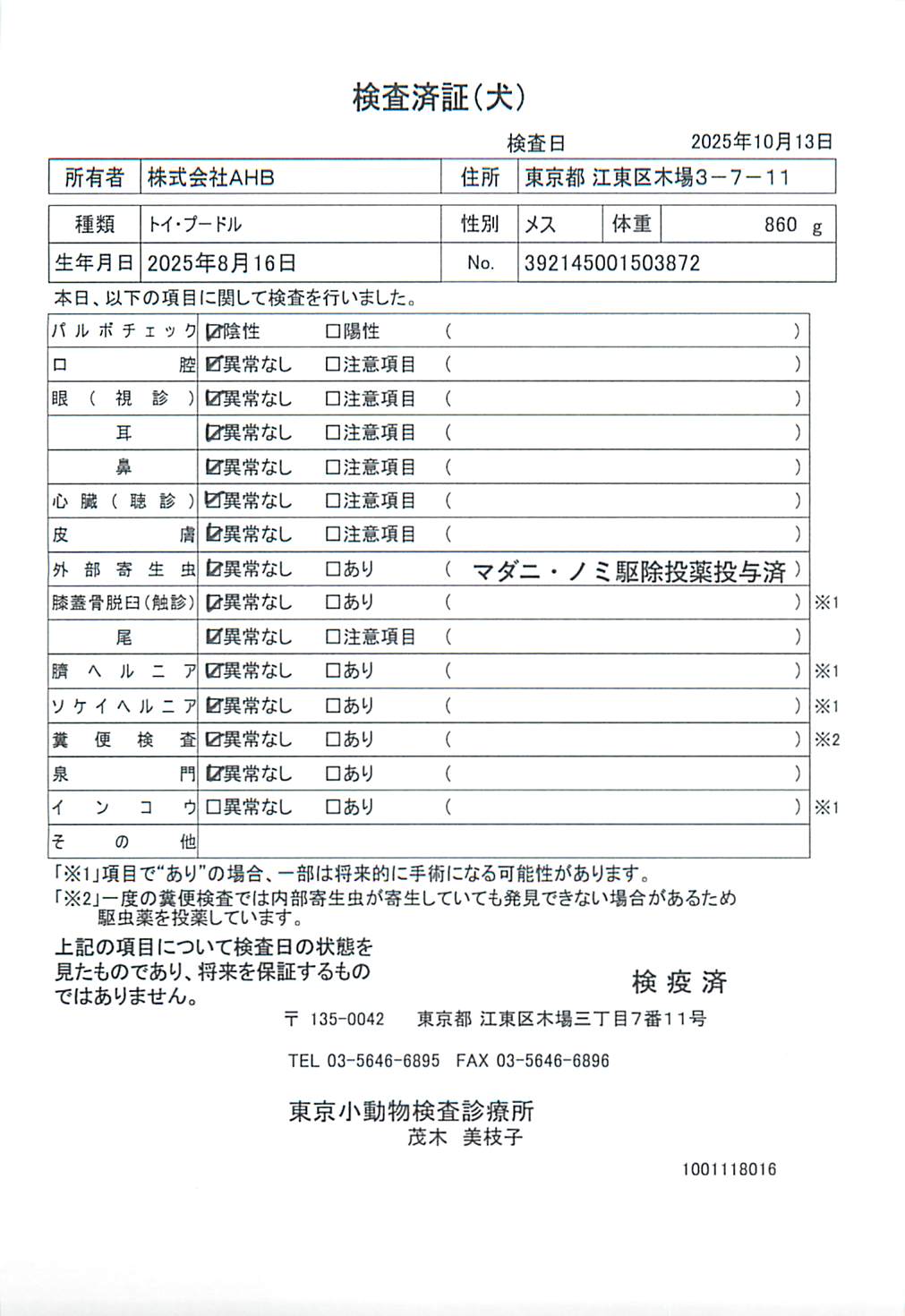 トイ・プードル