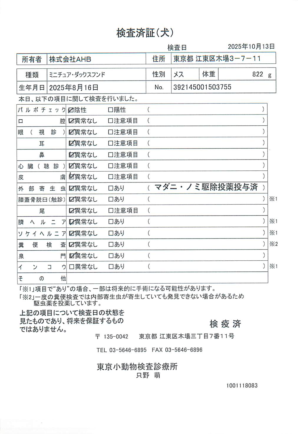 ミニチュア・ダックスフンド