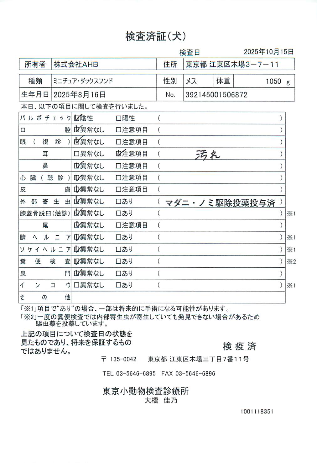 ミニチュア・ダックスフンド