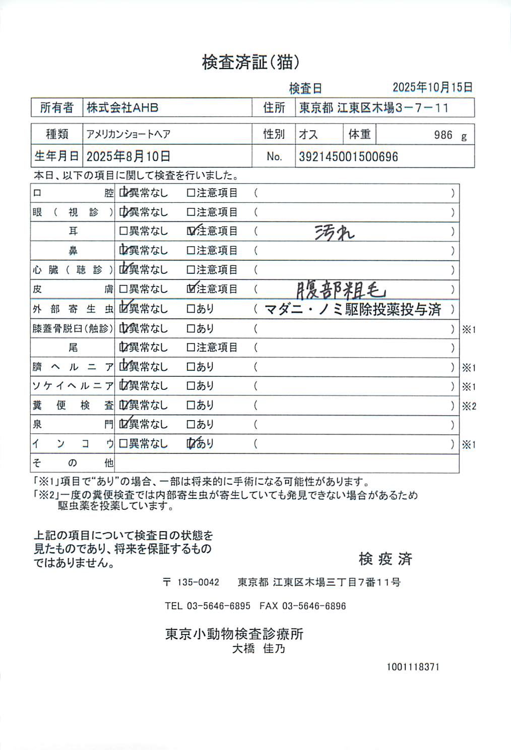 アメリカンショートヘア