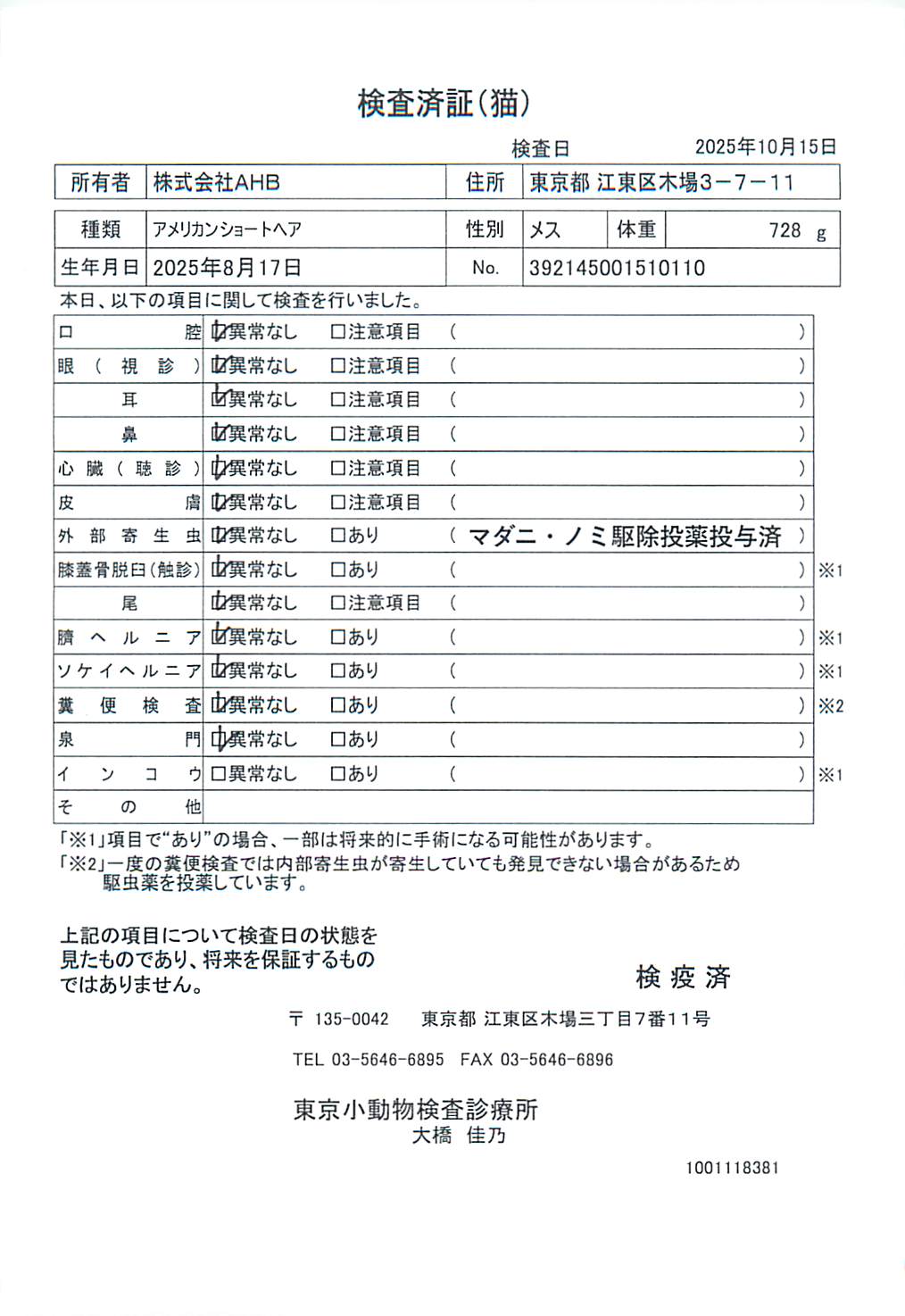 アメリカンショートヘア