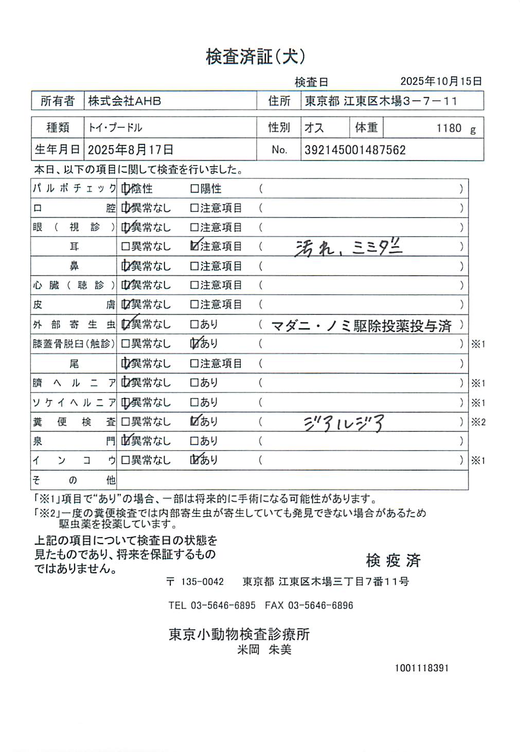 トイ・プードル