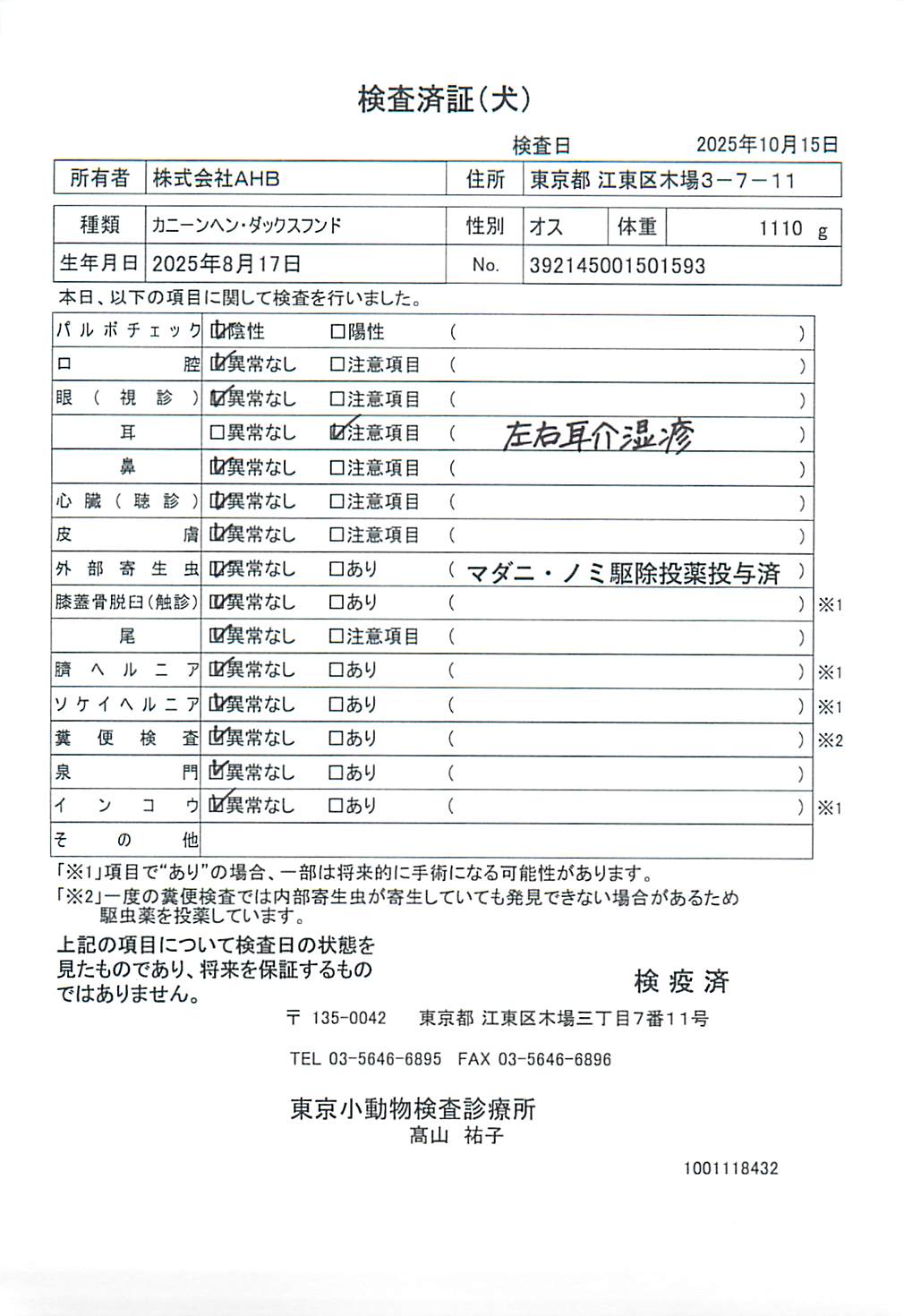 カニーンヘン・ダックスフンド