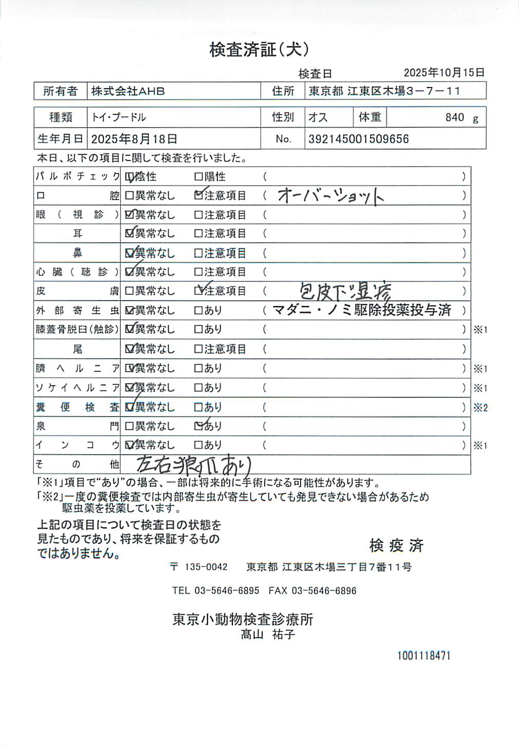 トイ・プードル