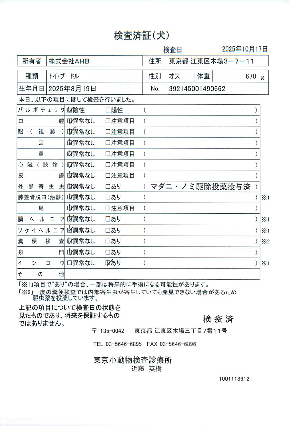 トイ・プードル