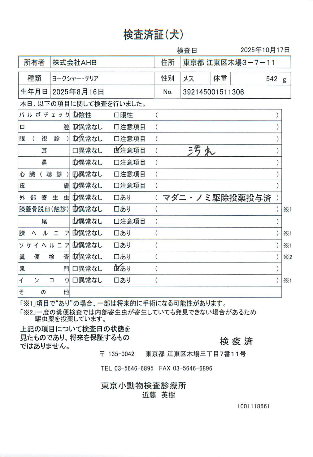 ヨークシャー・テリア