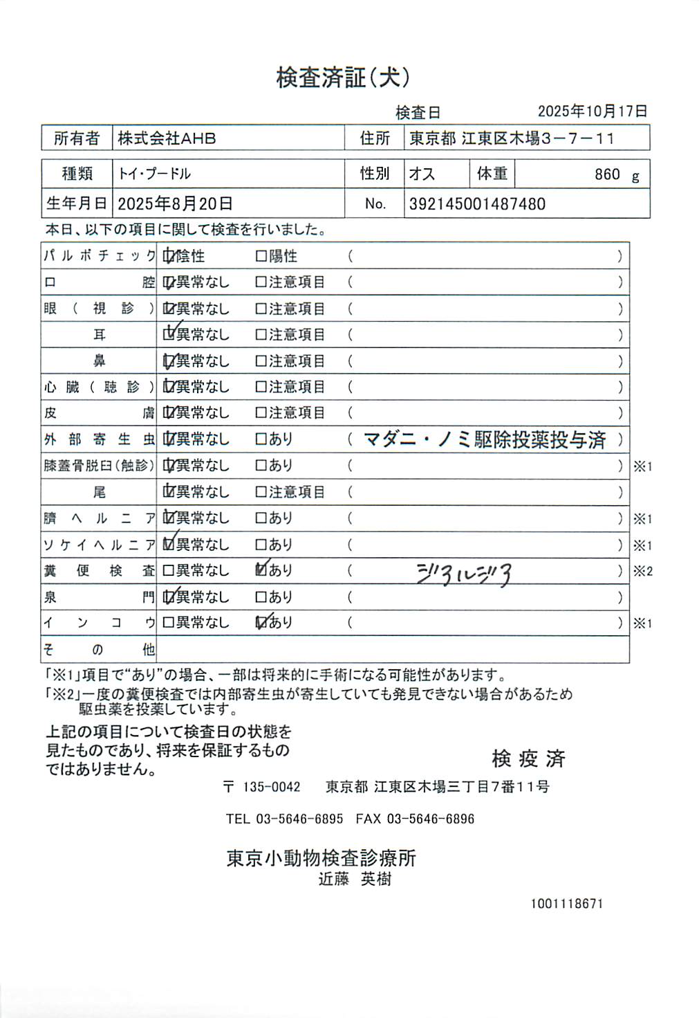 トイ・プードル