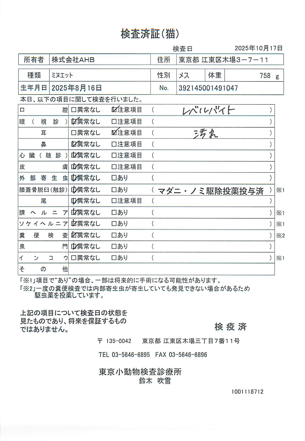 ミヌエット