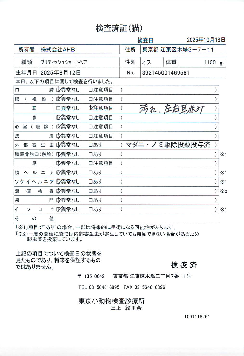 ブリティッシュショートヘア