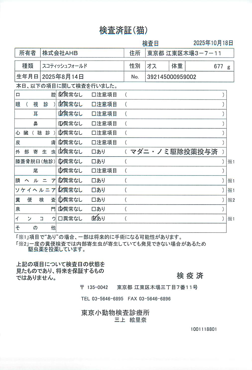 スコティッシュフォールド