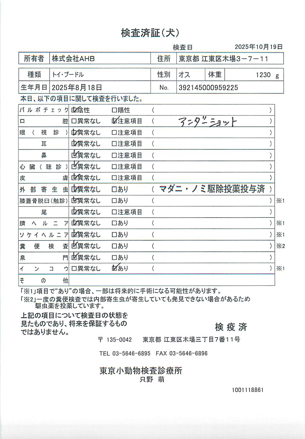 トイ・プードル