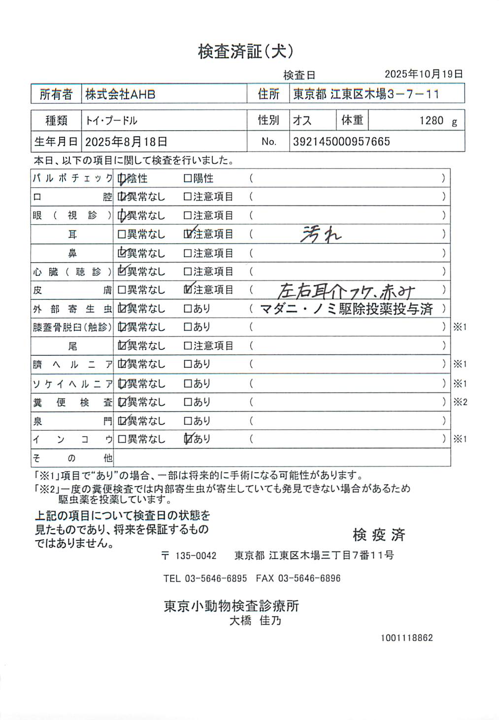 トイ・プードル