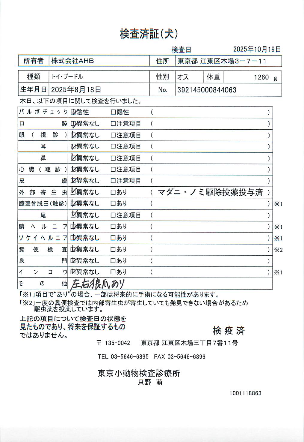 トイ・プードル