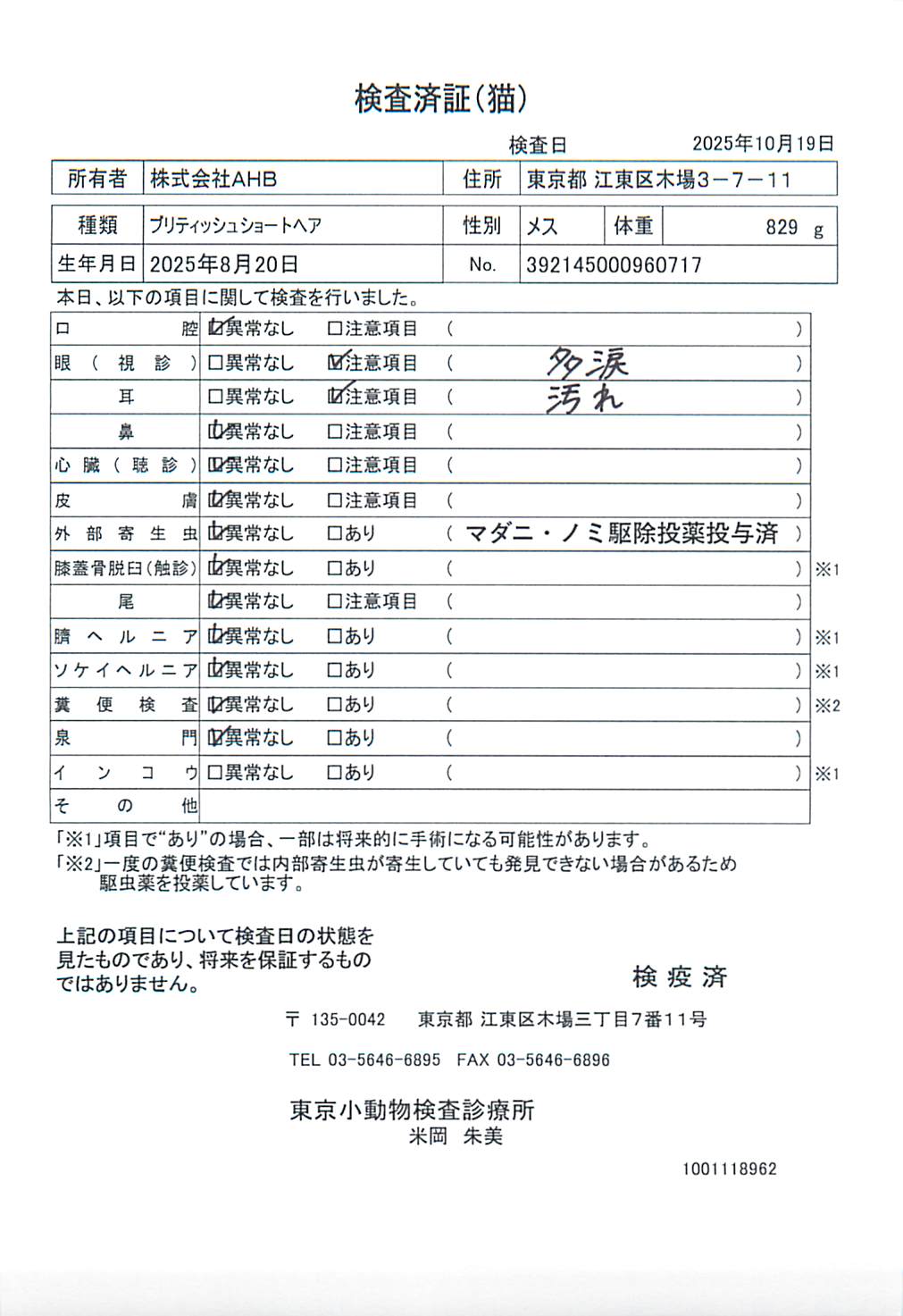 ブリティッシュショートヘア