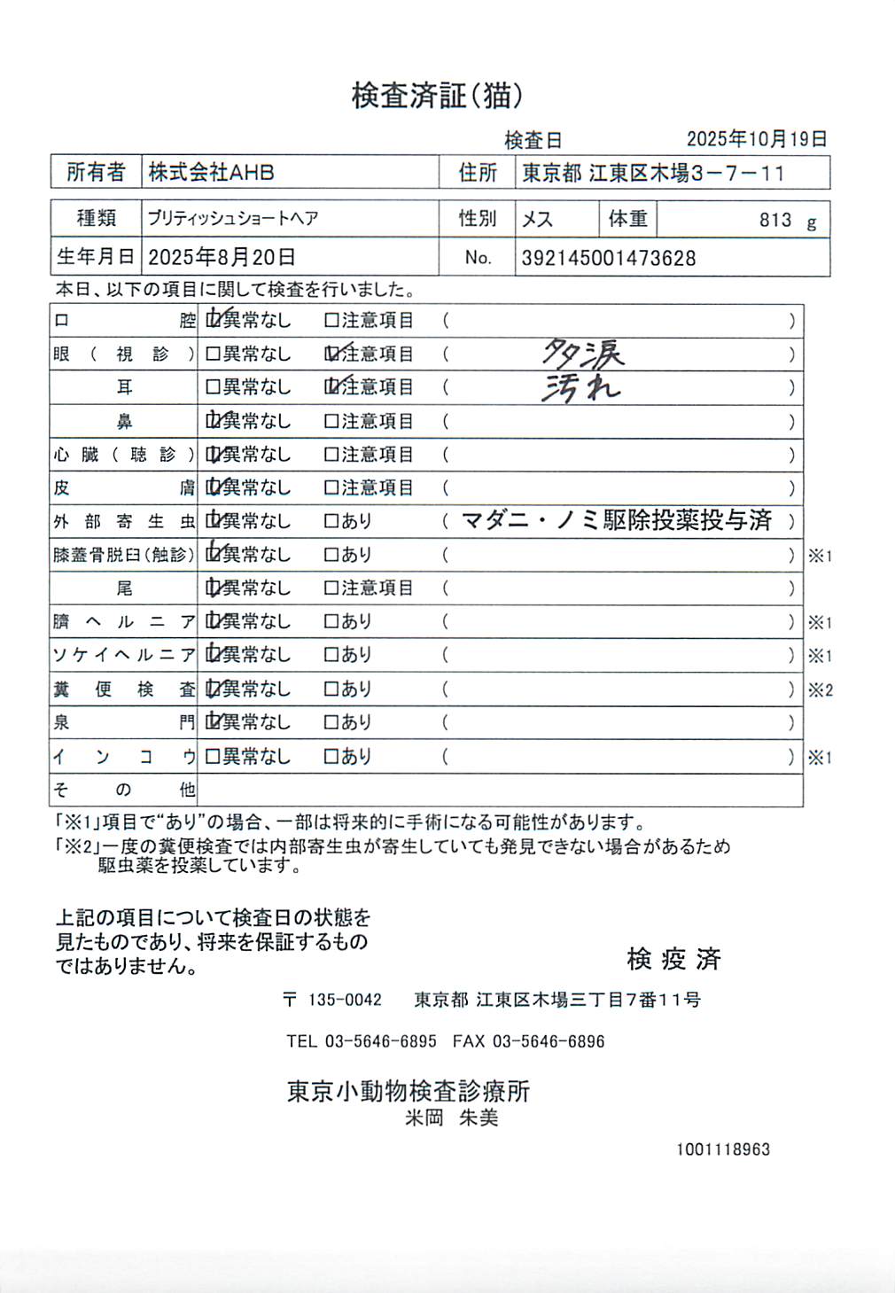 ブリティッシュショートヘア