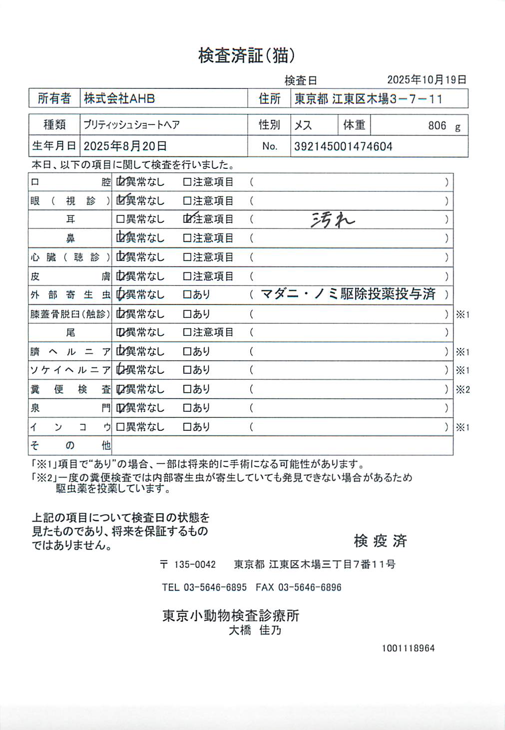 ブリティッシュショートヘア