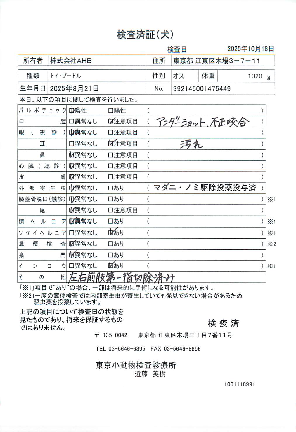 トイ・プードル