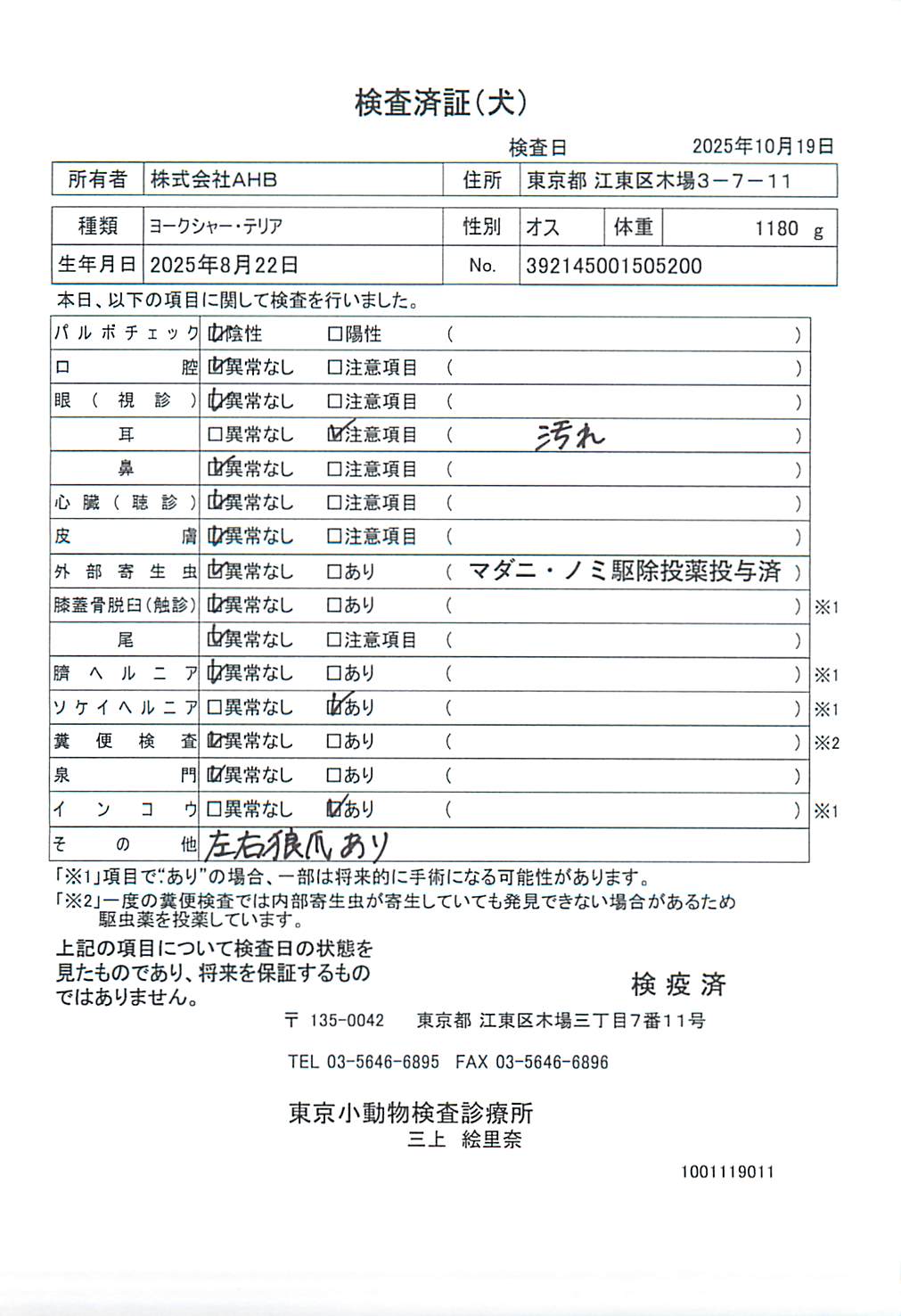 ヨークシャー・テリア