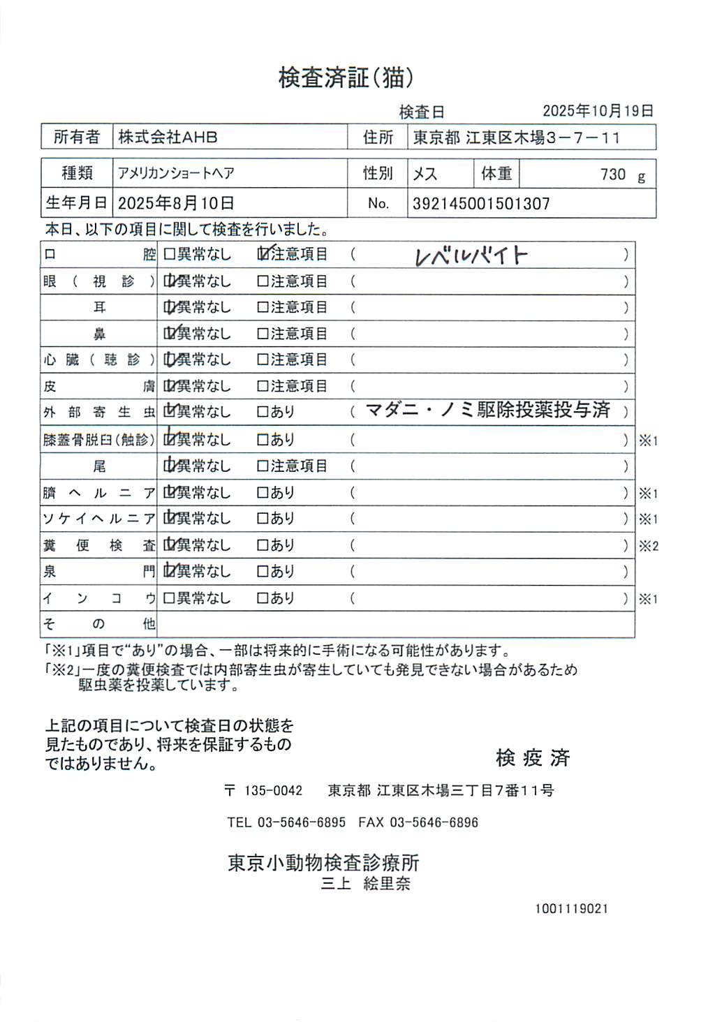 アメリカンショートヘア