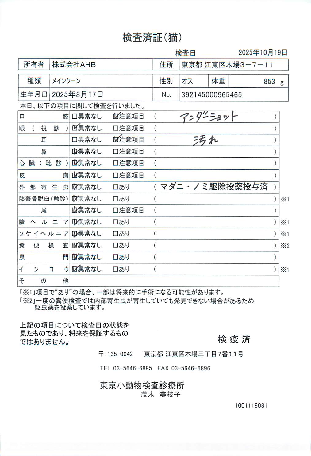 メインクーン