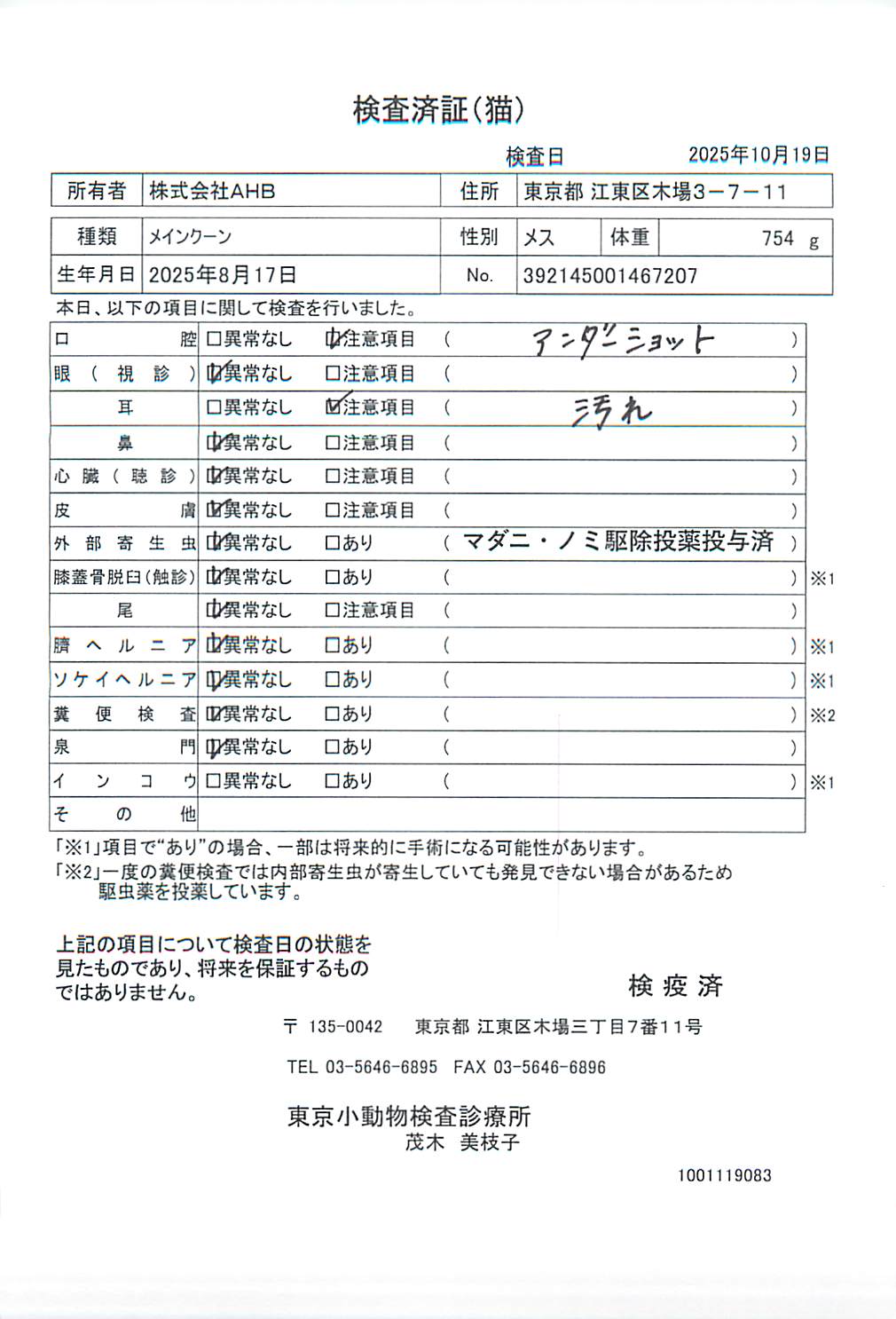 メインクーン