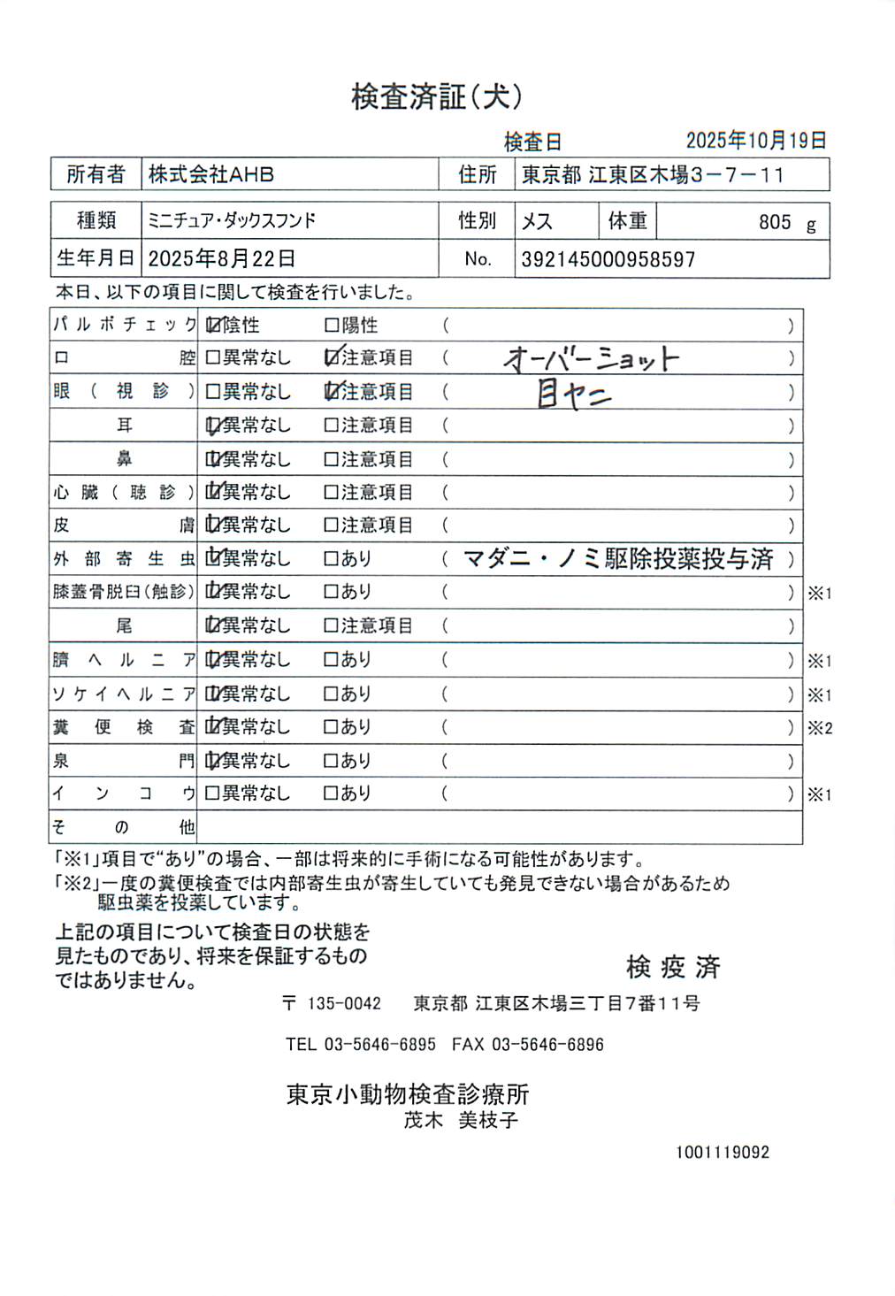 ミニチュア・ダックスフンド