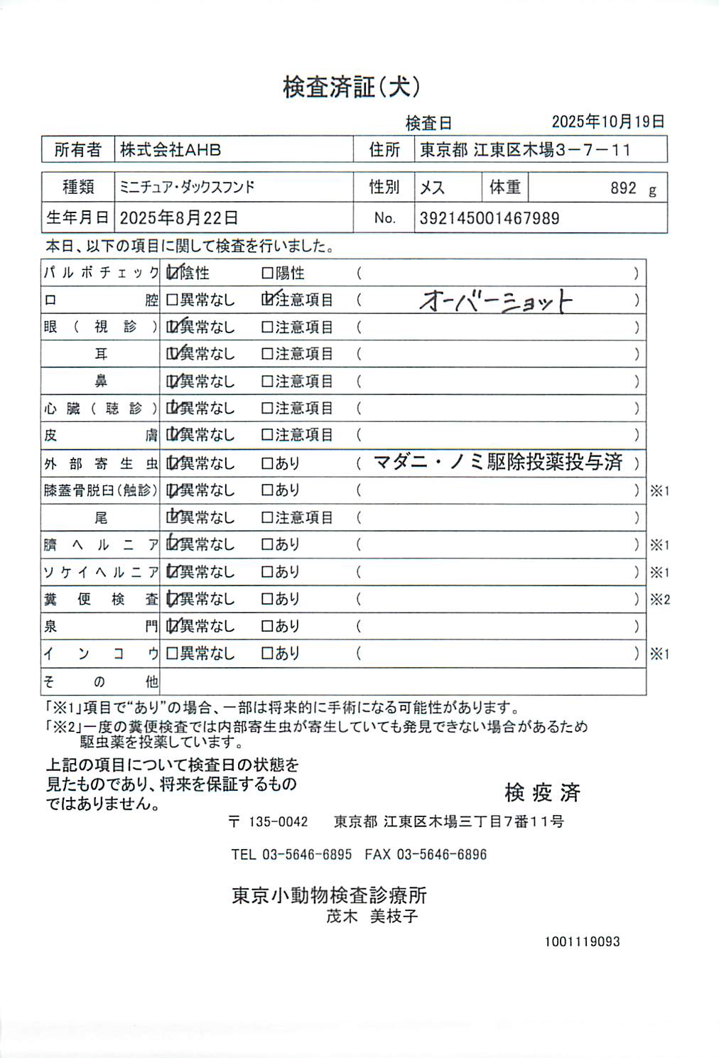 ミニチュア・ダックスフンド