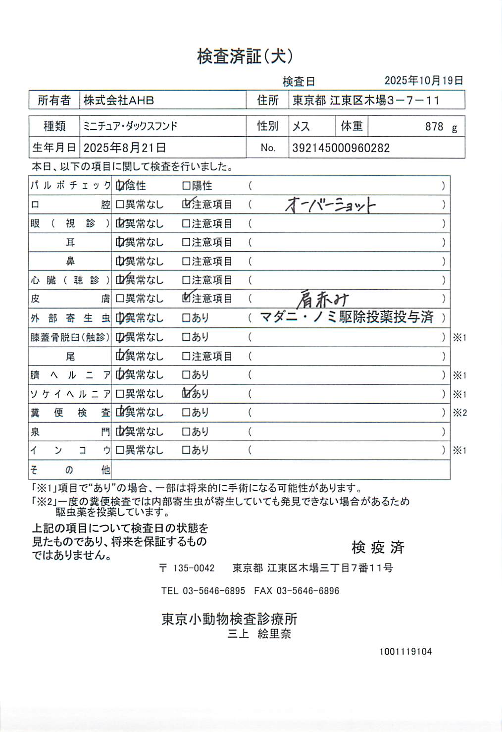 ミニチュア・ダックスフンド