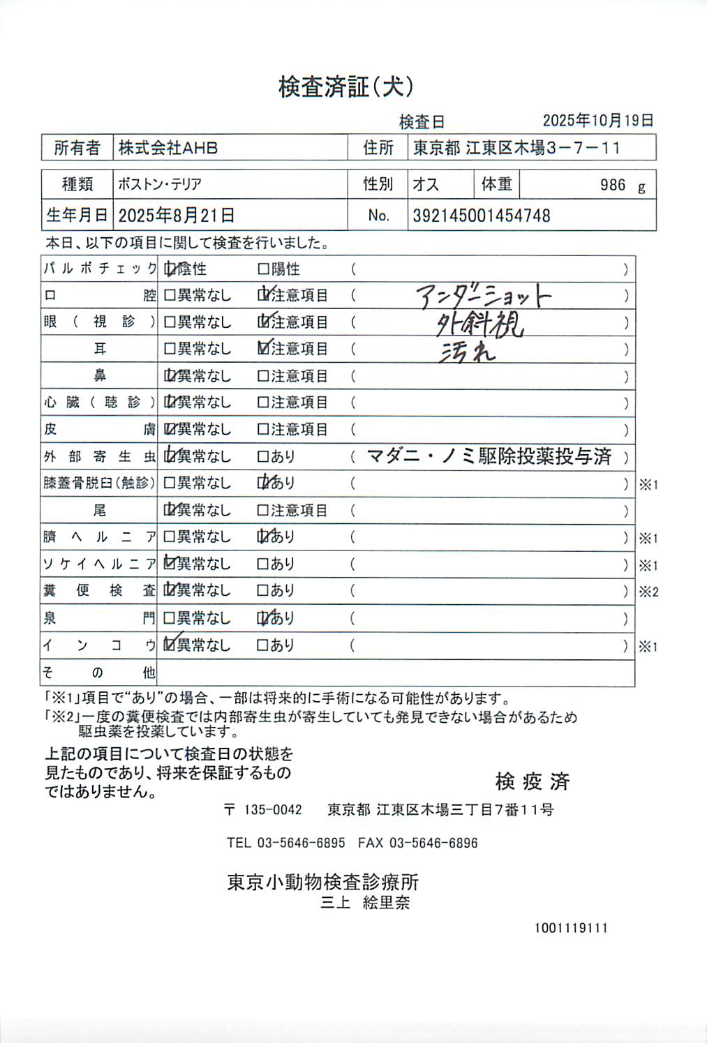 ボストン・テリア