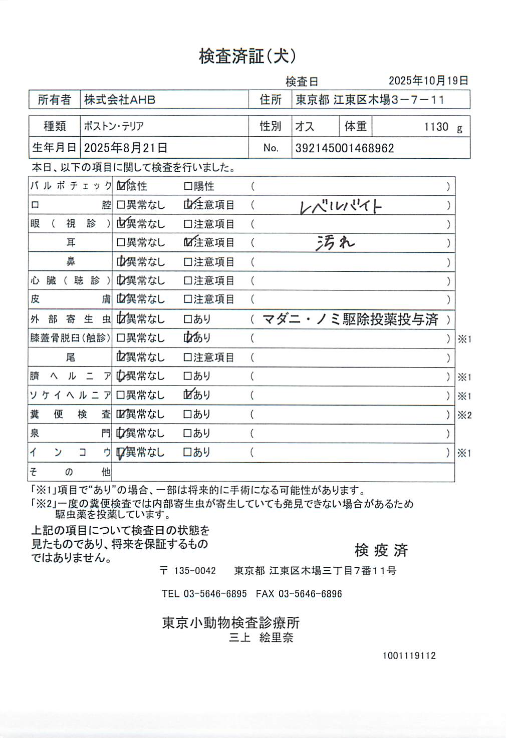 ボストン・テリア